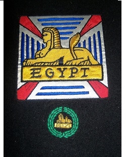 Medium Embroidered Badge - Devon and Dorset Regiment